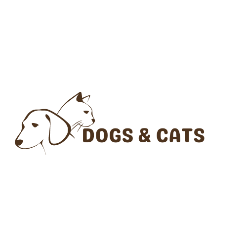 dogsandcats.ch