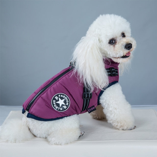 New Pet Winter Thickened Cotton Clothes Dog Two-legged Waterproof Outdoor Chest Back Waistcoat Cotton-padded Clothes Jacket